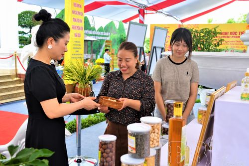Phụ nữ Điện Biên trong nhịp chuyển mình