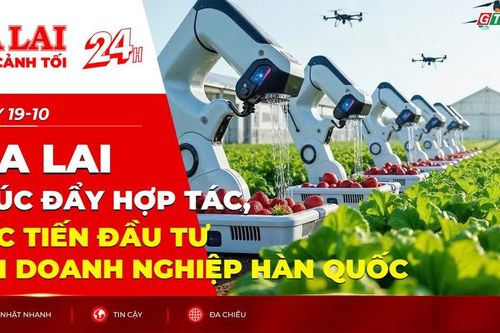 Toàn cảnh Gia Lai 24h: Thúc đẩy hợp tác, xúc tiến đầu tư với doanh nghiệp Hàn Quốc