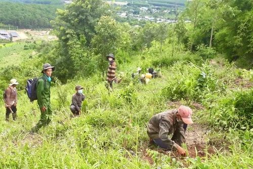 RECAF tạo động lực thúc đẩy tăng trưởng xanh ở Gia Lai