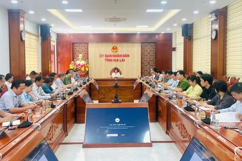 Họp rà soát công tác chuẩn bị Festival Cồng chiêng - Tuần lễ Hoa Dã quỳ - Chư Đang Ya năm 2026