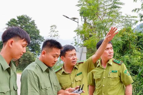 Chủ động phòng, chống cháy rừng ở khu vực Văn Bàn