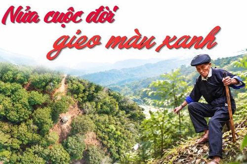 Nửa cuộc đời gieo màu xanh
