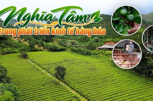 Nghĩa Tâm tập trung phát triển kinh tế hàng hóa