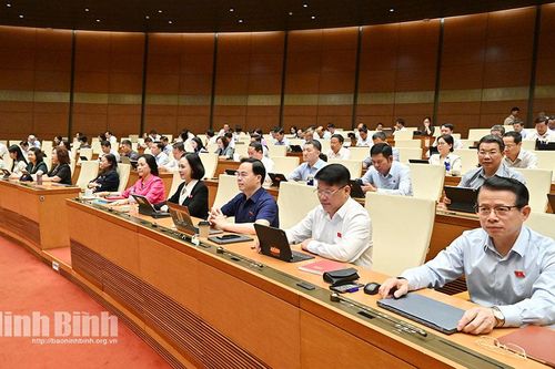 Đoàn ĐBQH tỉnh Ninh Bình góp ý các dự án Luật Đấu giá tài sản, Luật Luật sư và Luật Nuôi con nuôi