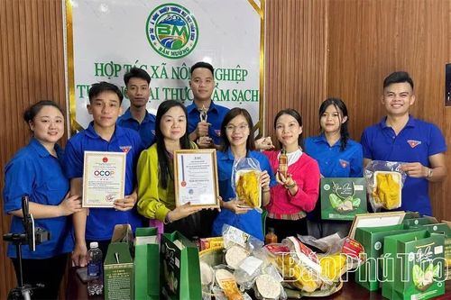 Nữ giám đốc người Mường tiên phong nâng tầm nông sản
