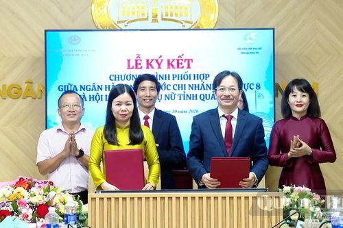 Ký kết chương trình phối hợp hỗ trợ phụ nữ phát triển kinh tế giai đoạn 2026-2030