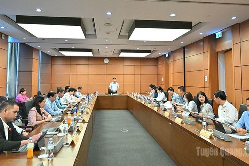 Đoàn ĐBQH tỉnh Tuyên Quang góp ý 3 dự án luật sửa đổi