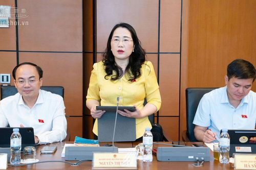 Góp ý hoàn thiện các dự án luật về luật sư, nuôi con nuôi và đấu giá tài sản