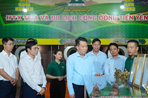 Chủ tịch UBND tỉnh Nguyễn Thế Mạnh kiểm tra công tác chuẩn bị Festival Trà quốc tế - Thái Nguyên 2026