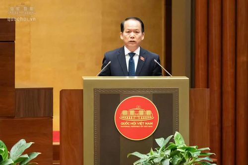 Trúng đấu giá đất nhưng bỏ cọc có thể bị 'cấm cửa' tới 5 năm