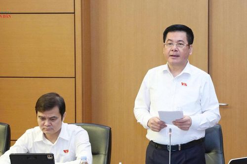 Phó Chủ tịch Quốc hội Nguyễn Hồng Diên: Không thể mặc nhiên coi tham dự đấu giá là đồng ý trả giá khởi điểm