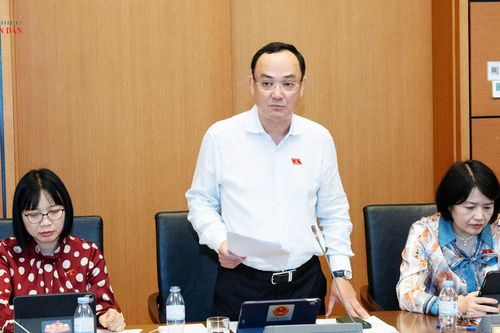 Giá trúng đấu giá cao nhưng bỏ cọc không thể coi là thành công