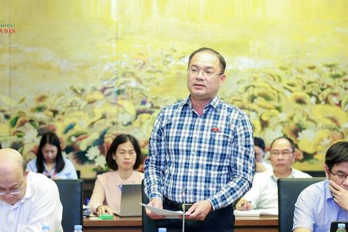 ĐBQH Nguyễn Ngọc Việt (Hà Nội): Ngăn thông đồng, dìm giá, bảo đảm cạnh tranh thực chất trong đấu giá tài sản
