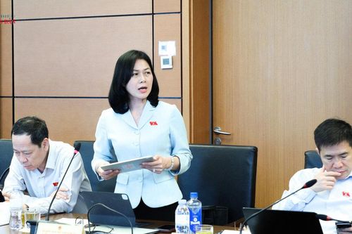 Dự án Luật Luật sư (sửa đổi): Cần quy định cụ thể cơ chế tham gia thẩm định pháp lý