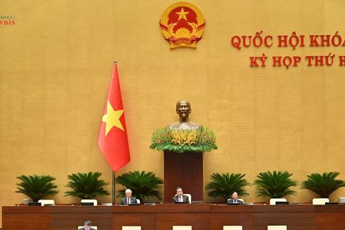Nâng cao tiêu chuẩn, trách nhiệm nghề nghiệp của luật sư