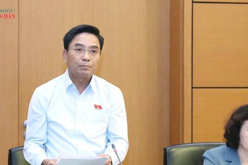 Phó Chủ tịch Quốc hội Nguyễn Doãn Anh: Nghiêm cấm mọi hành vi môi giới nhận con nuôi trái pháp luật
