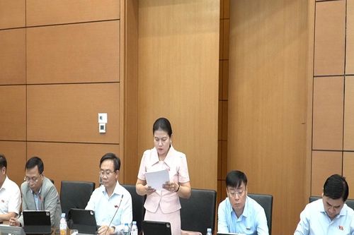 Làm rõ trách nhiệm phối hợp, ngăn chặn lợi dụng việc nuôi con nuôi