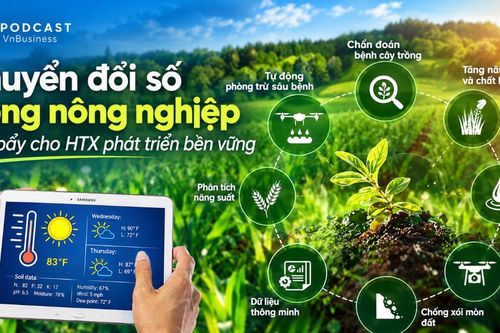 HTX chuyển đổi số: Công nghệ phải tạo ra giá trị thực