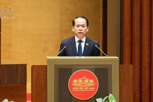 Đề xuất nhiều quy định nhằm hạn chế 'cò mồi', bỏ cọc khi đấu giá đất