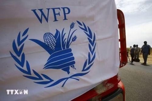 WFP cắt giảm mạnh viện trợ tại Gaza do thiếu hụt tài chính
