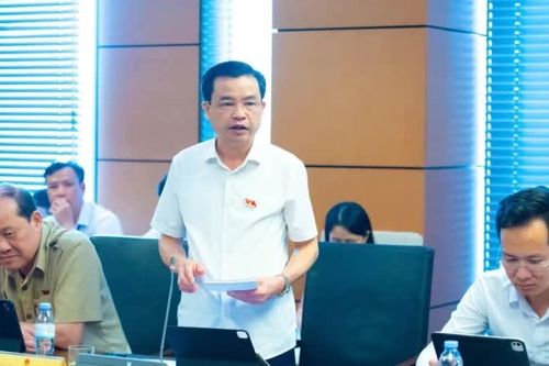 Phó Bí thư Thường trực Tỉnh ủy, Trưởng Đoàn ĐBQH tỉnh Bế Thanh Tịnh kiến nghị giải pháp phát triển phù hợp đặc thù địa phương