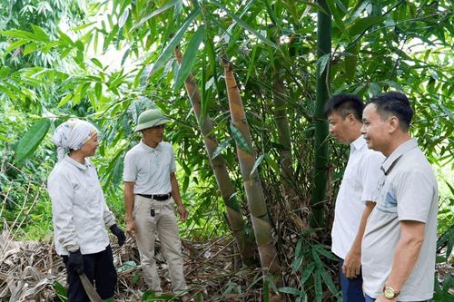 Lào Cai: Nâng cao chất lượng để nông sản vươn xa