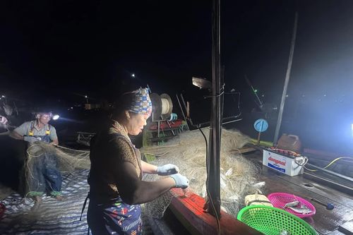 Chong đèn xuyên đêm, ngư dân Hà Tĩnh vui mừng đón mùa cá bạc má
