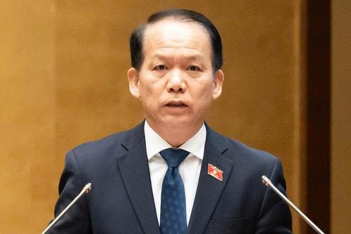 Chính phủ đề xuất cấm người có án tù treo nhận con nuôi