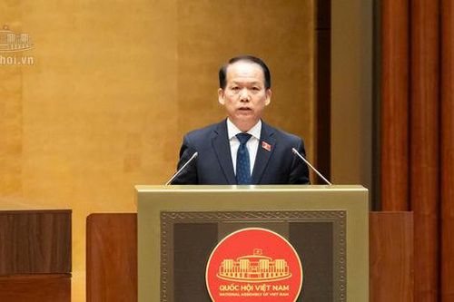 Đề xuất chế tài xử lý tình trạng 'cò mồi', 'bỏ cọc' trong đấu giá tài sản