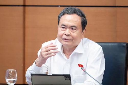Chủ tịch Quốc hội Trần Thanh Mẫn: Tập trung phòng, chống vi phạm trong đấu giá đất