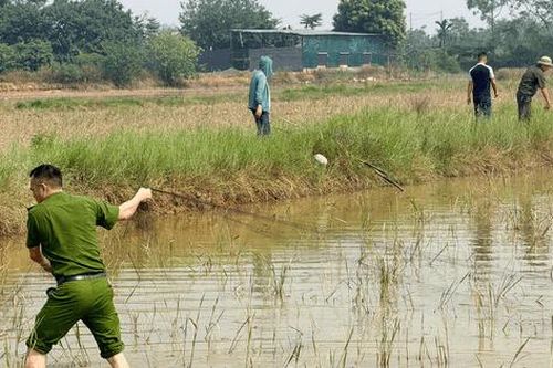 Xử lý nghiêm các trường hợp vi phạm về săn bắt động vật hoang dã