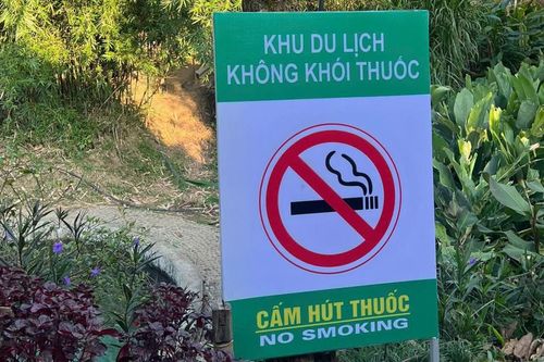 Mở rộng môi trường không khói thuốc: Cần thiết để bảo vệ sức khỏe cộng đồng