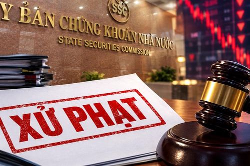 Xử phạt Công ty Cổ phần Đầu tư Quang Thuận vì vi phạm công bố thông tin