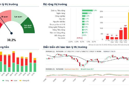 Xu hướng chứng khoán 19/10, nâng tỷ trọng cổ phiếu
