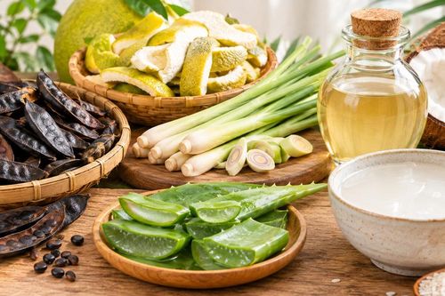 Mẹo chăm sóc tóc khô xơ bằng nguyên liệu thảo mộc tại nhà