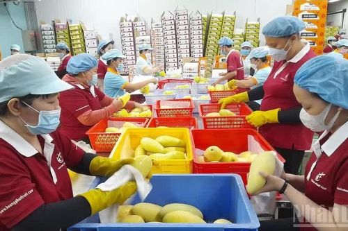 Vai trò cấp ủy kiến tạo động lực mới cho kinh tế tư nhân