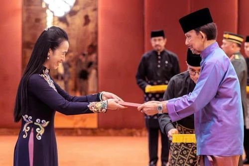Đại sứ Việt Nam trình Quốc thư lên Quốc vương Brunei Darussalam