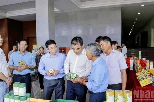 Mở rộng chỉ dẫn địa lý nhãn lồng Hưng Yên thêm 900ha