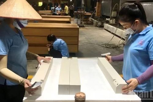 Ngành gỗ Việt Nam tìm dư địa tăng trưởng từ đa dạng hóa thị trường
