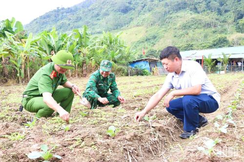 Bộ đội Biên phòng tỉnh Lai Châu hỗ trợ dân xây dựng vùng thực phẩm an toàn