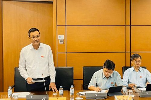 Chống thông đồng, dìm giá, quân xanh, quân đỏ trong đấu giá tài sản
