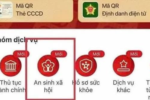 Từ năm 2027, chi trả trợ cấp bảo hiểm xã hội, bảo hiểm thất nghiệp qua VNeID