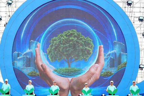 Bộ Chính trị ban hành chỉ thị về bảo đảm an ninh môi trường