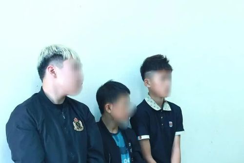 Bắt nhóm đối tượng đập kính nhiều ô tô tại Nghệ An