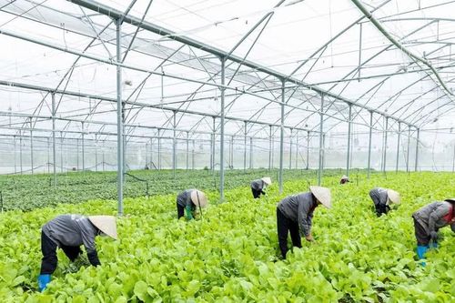 Bắc Ninh mở rộng ứng dụng khoa học, công nghệ trong sản xuất
