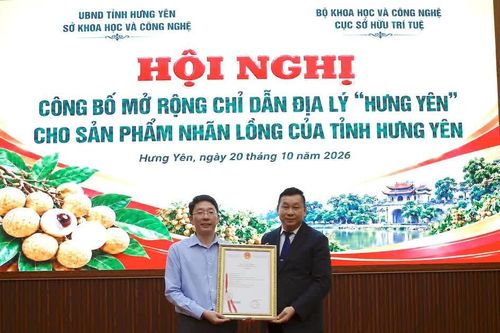 Mở rộng chỉ dẫn địa lý cho nhãn lồng Hưng Yên
