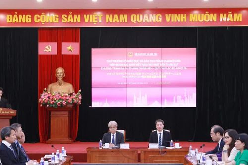 Thúc đẩy giao lưu Thanh thiếu niên Việt Nam - Nhật Bản