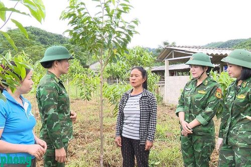 Những vườn gió trầm nuôi hy vọng ở Rào Tre