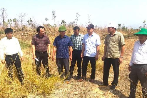 14 công trình 'mọc' trái phép trên đất cao su, nộp phạt nhưng chưa khắc phục