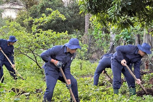 Tây Ninh quy tập thêm 5 hài cốt liệt sĩ tại Campuchia